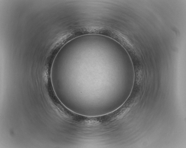 X0000116310644200911301503