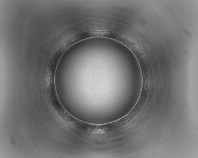 X0000116310647200911301504