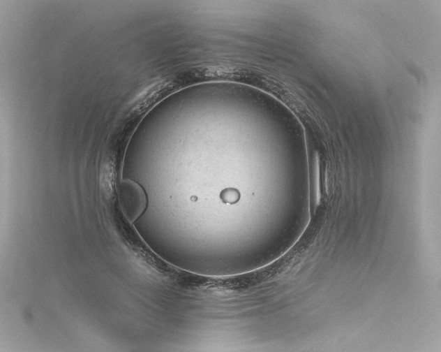 X0000116310648200911301504