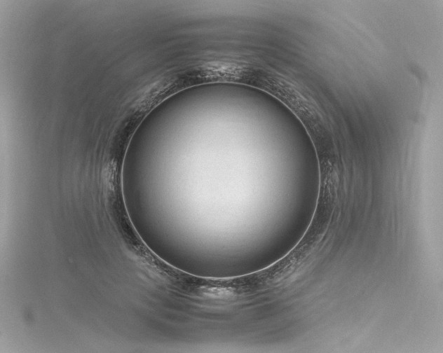 X0000116310649200911301504