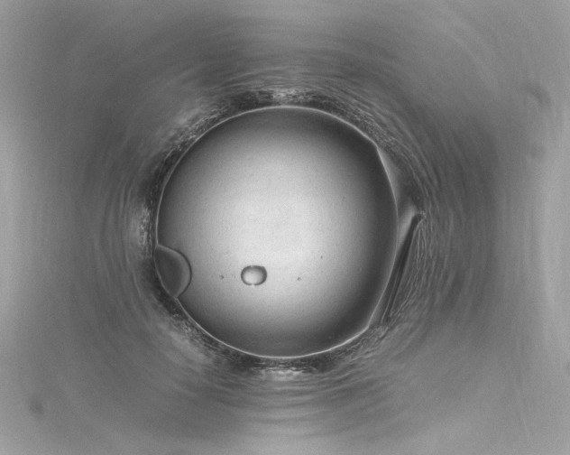 X0000116310650200911301504