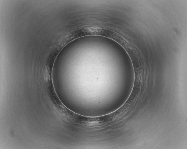 X0000116310651200911301504