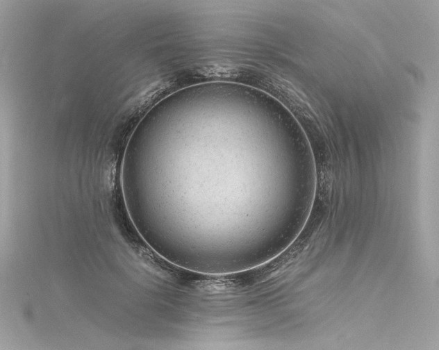 X0000116310652200911301504