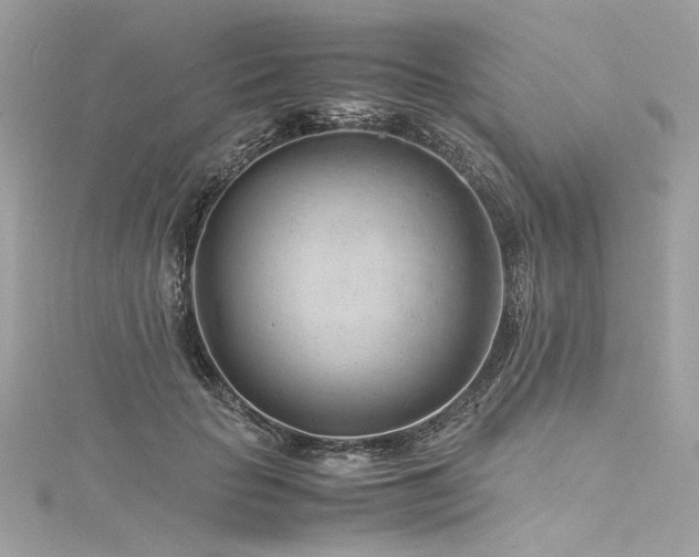 X0000116310653200911301504