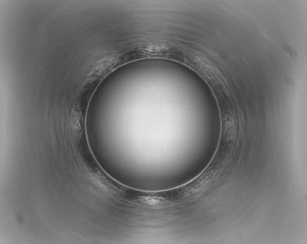 X0000116310654200911301504