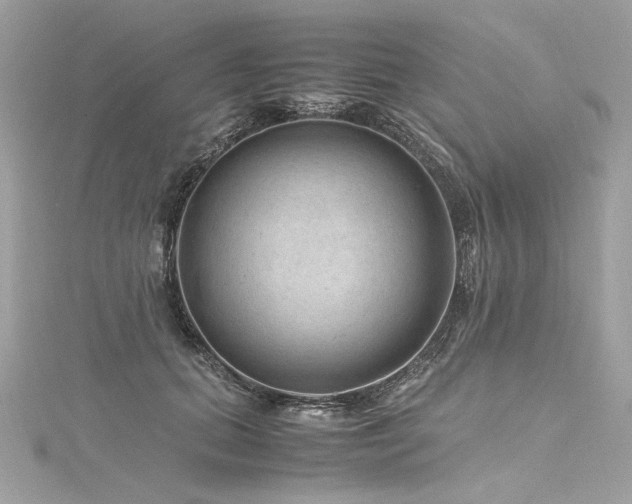 X0000116310655200911301504