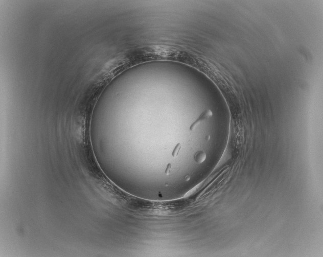 X0000116310656200911301504