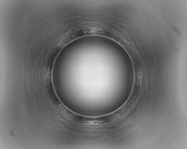 X0000116310657200911301504