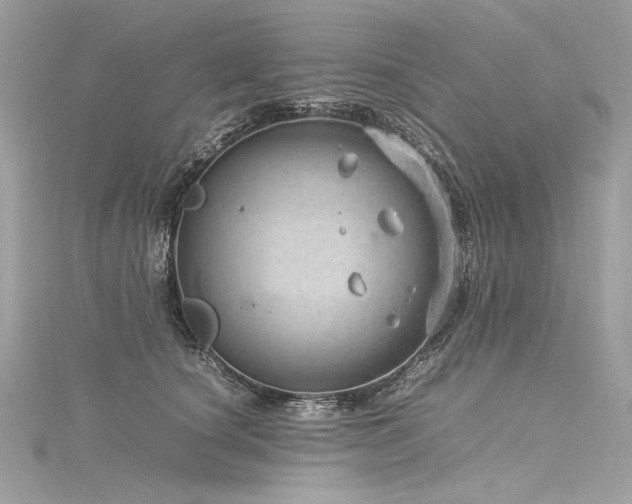 X0000116310660200911301504