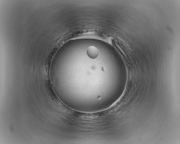 X0000116310661200911301504