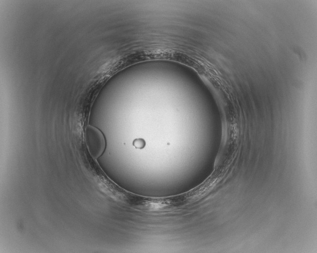 X0000116310662200911301504