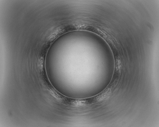 X0000116310664200911301504