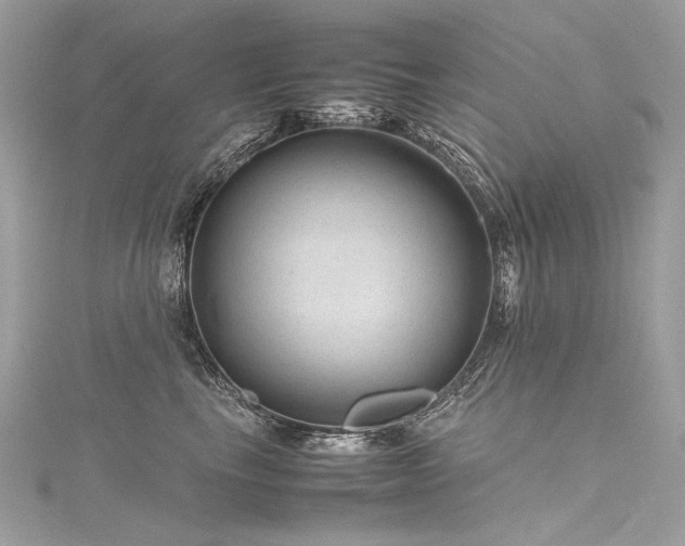 X0000116310665200911301504