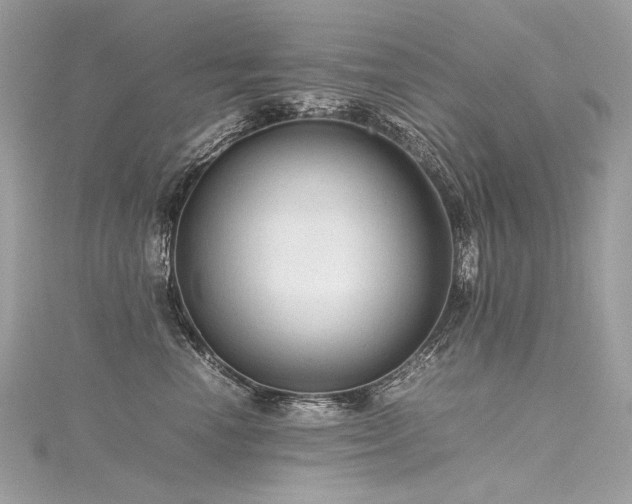 X0000116310666200911301504