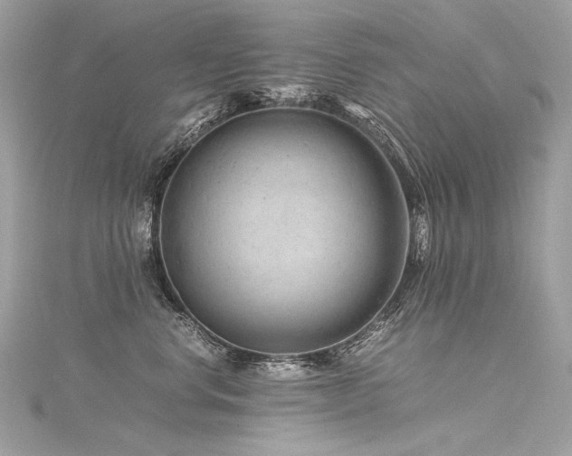 X0000116310668200911301504