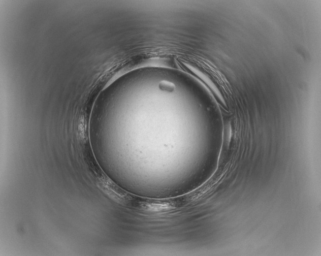 X0000116310669200911301504