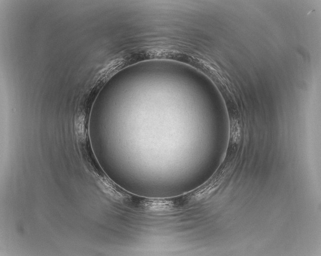 X0000116310670200911301504