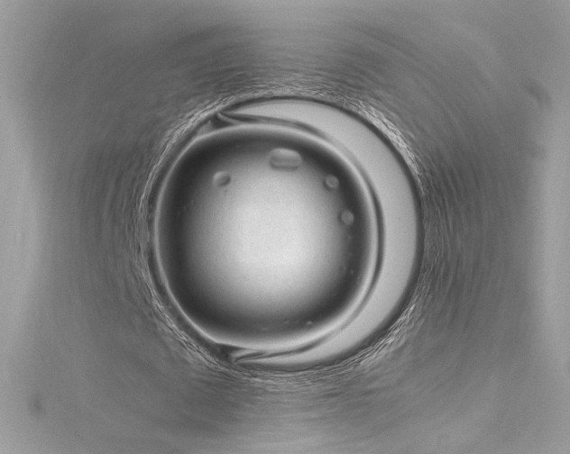 X0000116310673200911301503