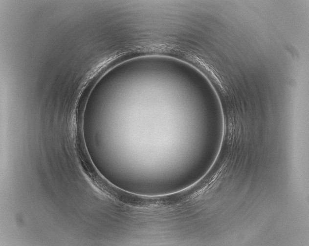 X0000116310674200911301503