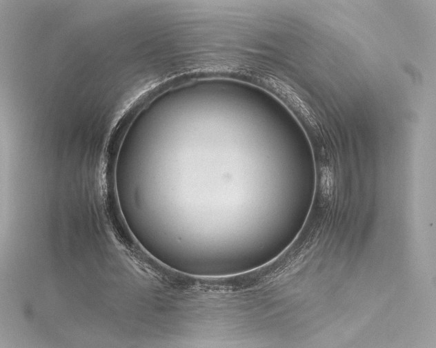 X0000116310676200911301503