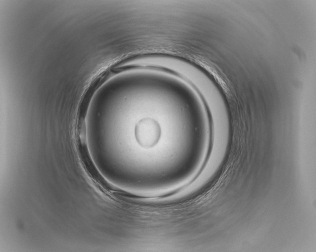 X0000116310677200911301503