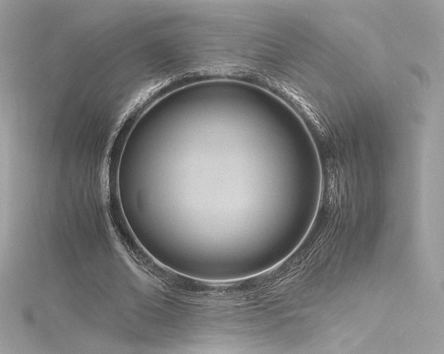 X0000116310678200911301503