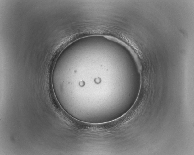 X0000116310681200911301503