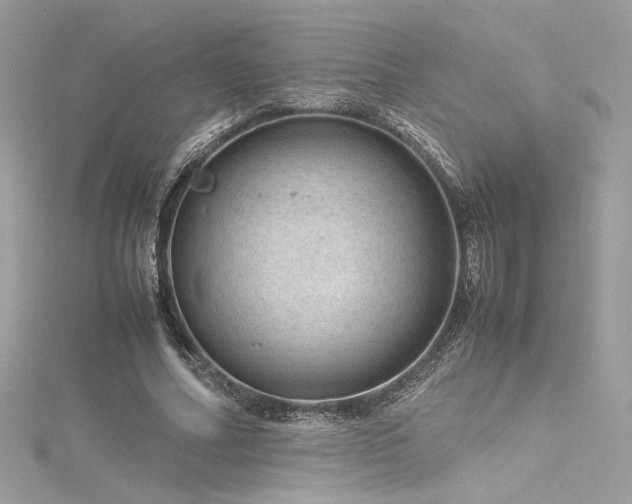 X0000116310682200911301503