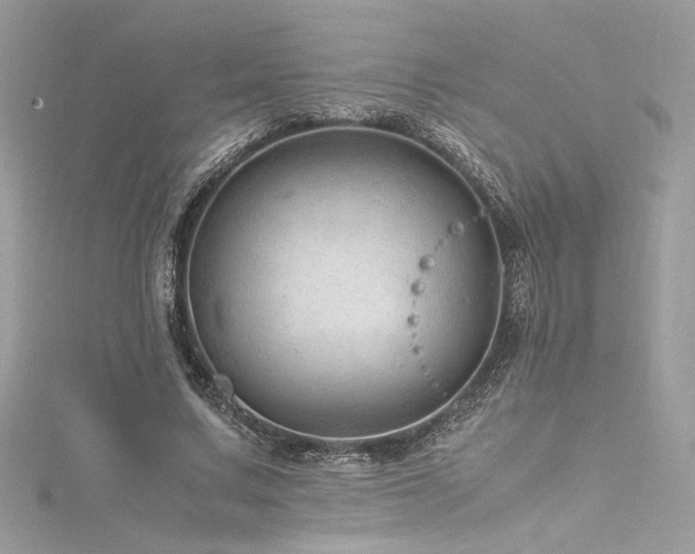 X0000116310683200911301503