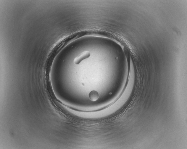 X0000116310684200911301503