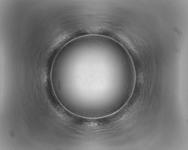 X0000116310687200911301503