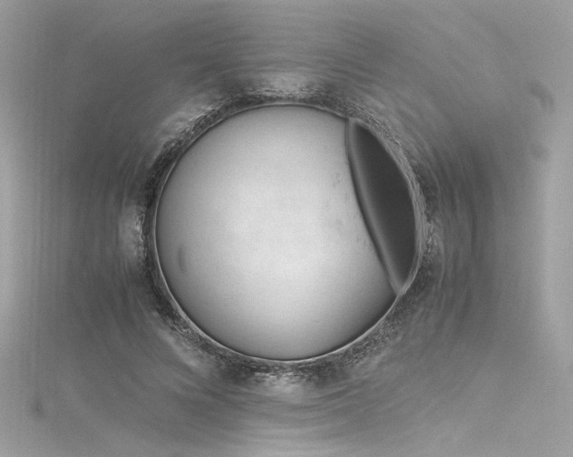 X0000116310688200911301503