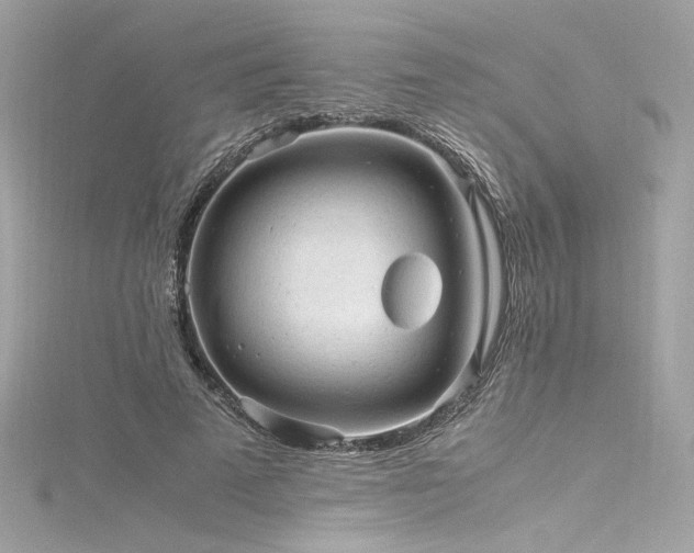 X0000116310689200911301503