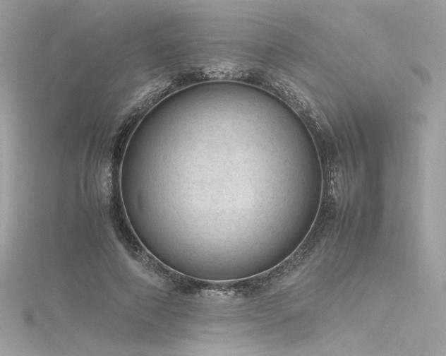 X0000116310690200911301503