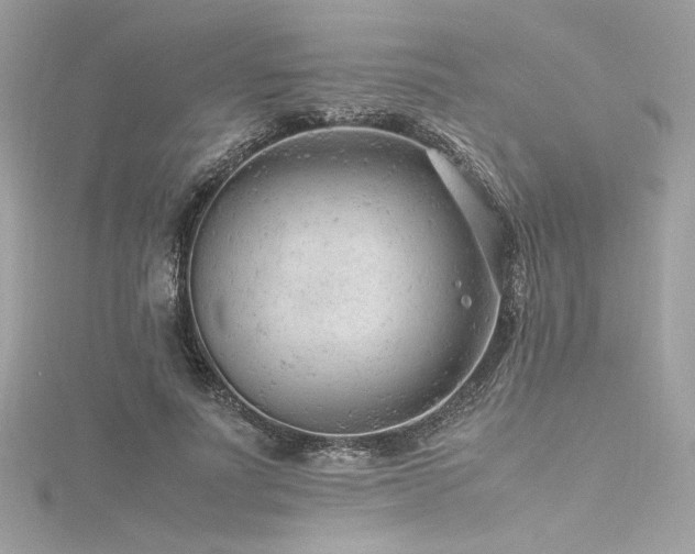 X0000116310691200911301503