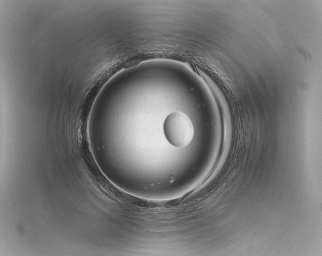 X0000116310692200911301503