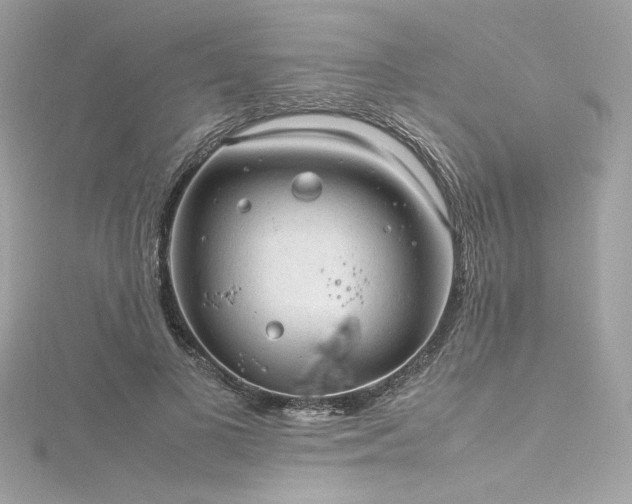 X0000116310693200911301503