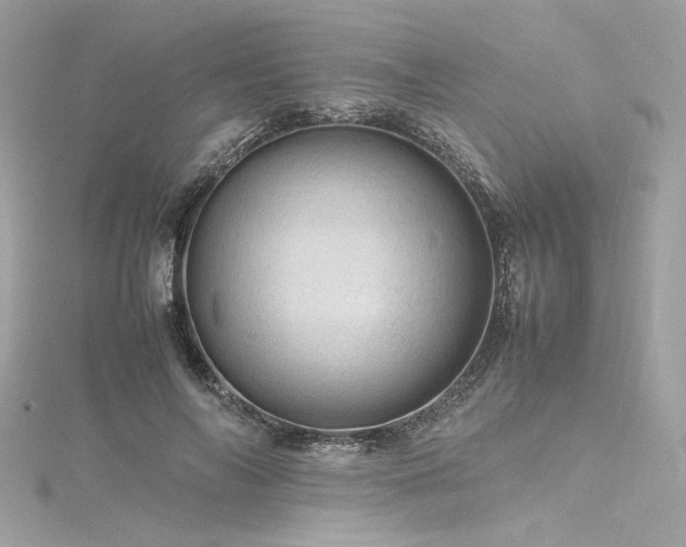 X0000116310694200911301503