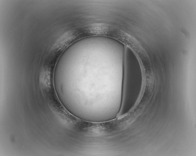 X0000116310696200911301503