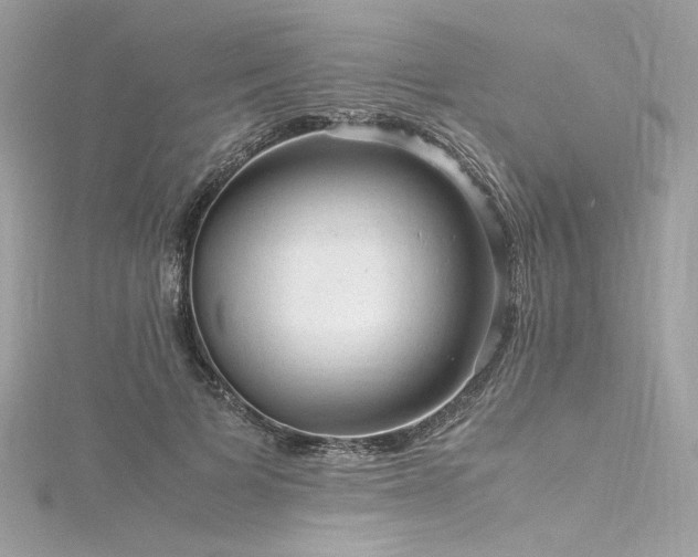 X0000116310697200911301503