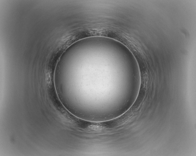 X0000116310699200911301503