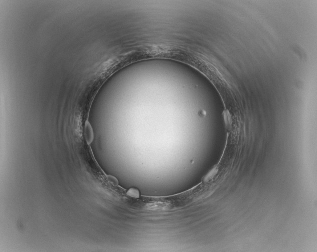 X0000116310700200911301503