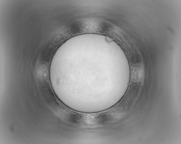 X0000116310701200911301503