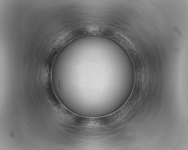 X0000116310702200911301503