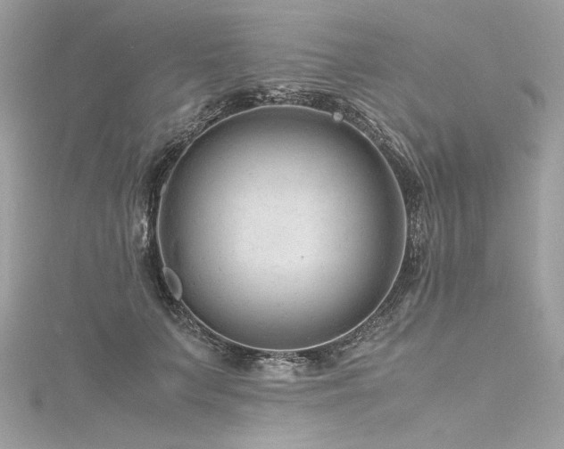 X0000116310703200911301503