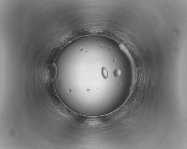 X0000116310704200911301503