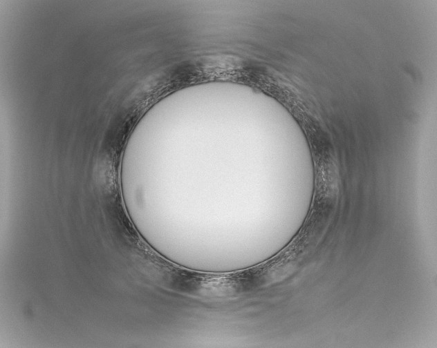 X0000116310705200911301503