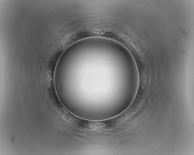 X0000116310707200911301503