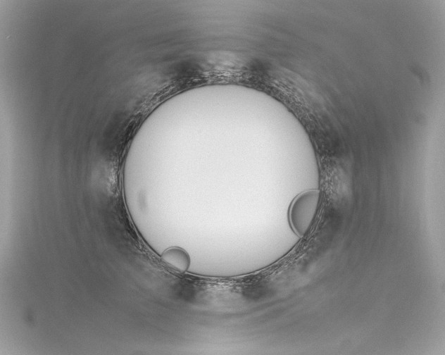 X0000116310709200911301503