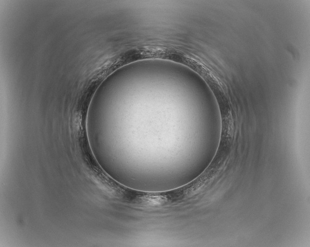 X0000116310711200911301503